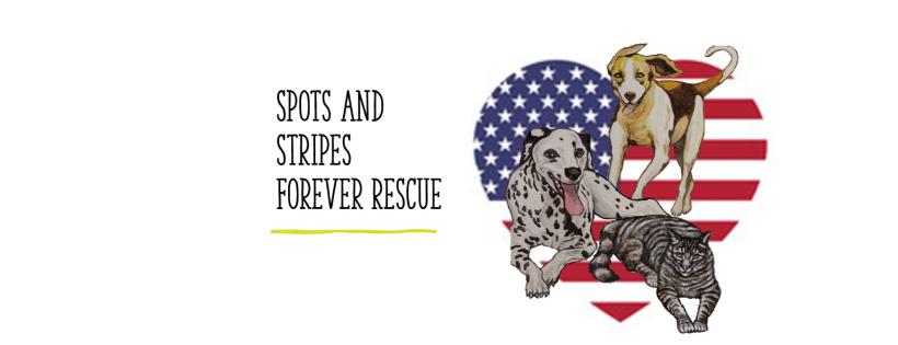 Spots and Stripes Forever