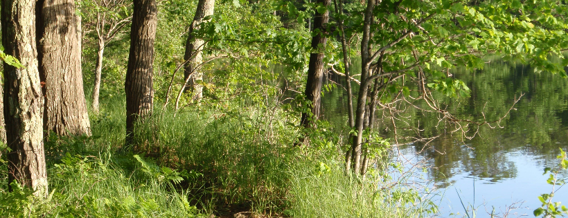 FRIENDS OF HUNT HILL AUDUBON SANCTUARY INC