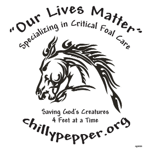 Wildhorses in Need Logo