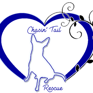 Chasin Tail Rescue Inc Logo