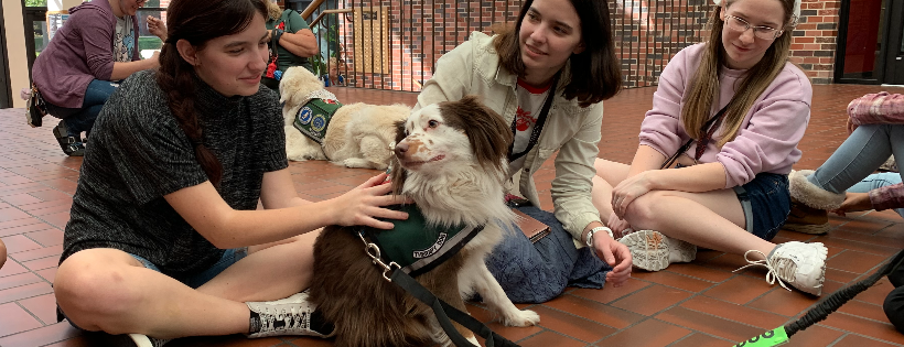 Healing Heart Therapy Dogs, Inc.