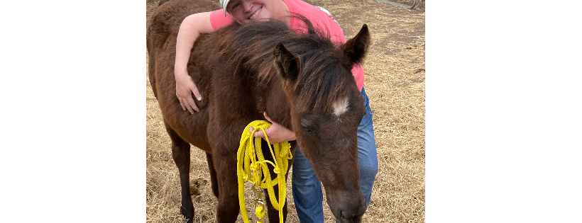 Meadow Haven Horse Rescue and Sanctuary