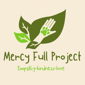 Mercy Full Project Logo