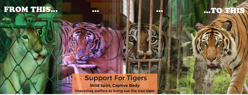 For Tigers