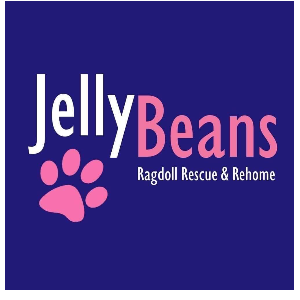 Jelly Beans Ragdoll Rescue 