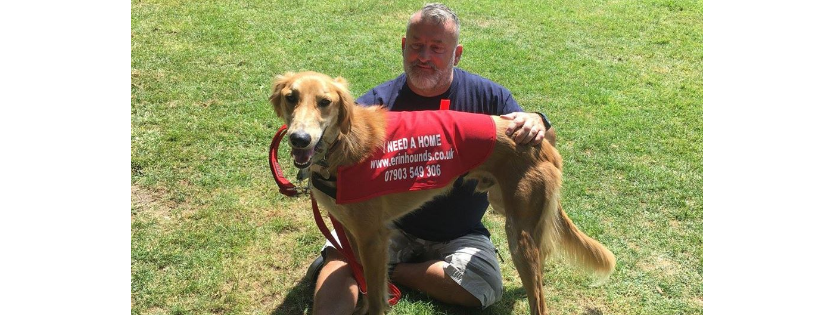 Erin Hounds