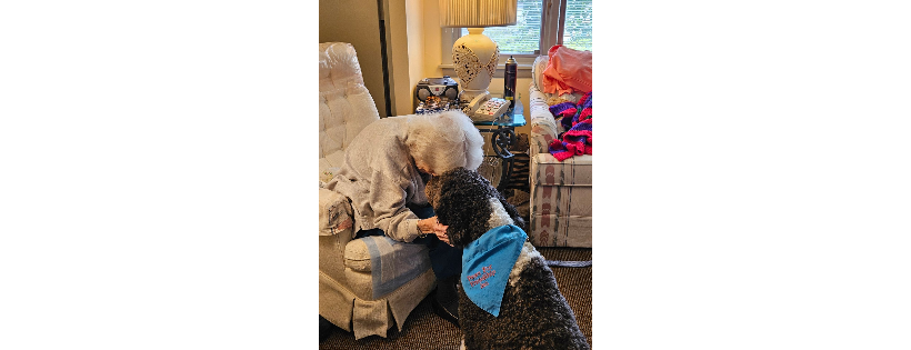 Paws For Friendship Incorporated