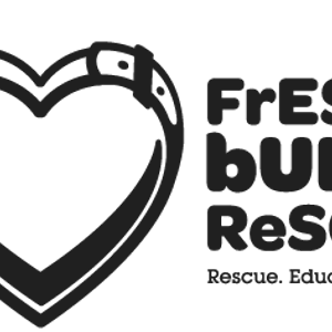 Fresno's Bully Rescue Logo