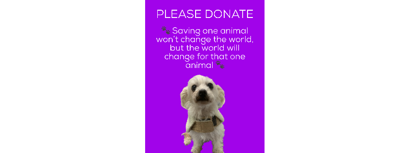 Dougie’s Legacy Animal Rescue