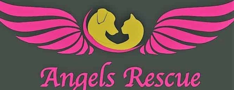 angels rescue