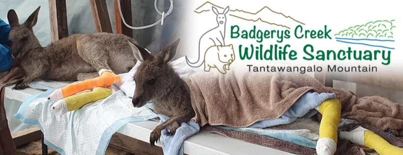 Badgerys Creek Wildlife Sanctuary Inc