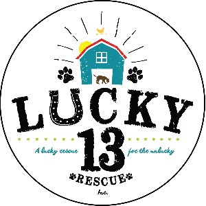 Lucky 13 Rescue Logo