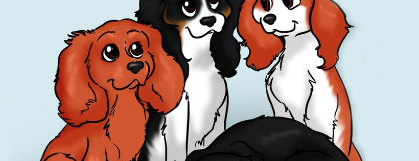 Cavaliers in Need NI