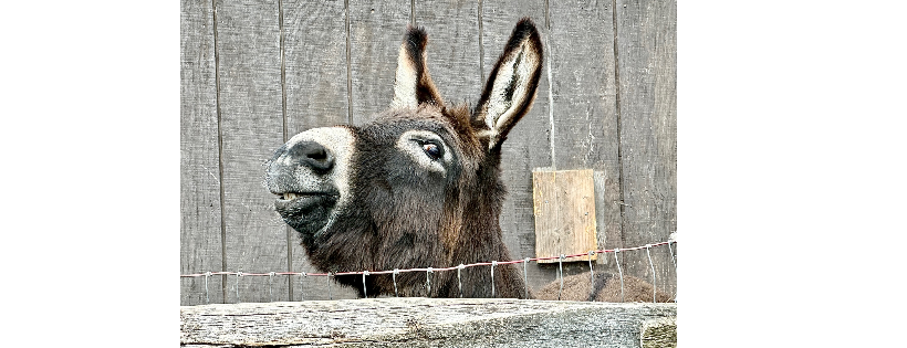 The Farmette