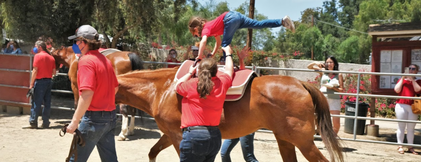 AHEAD With Horses Inc