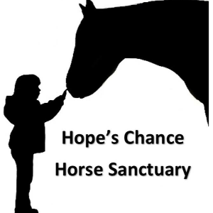 Hope's Chance Horse Sanctuary