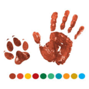 AMRRIC - Animal Management in Rural and Remote Indigenous Communities