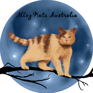 Alley Katz Australia Org.