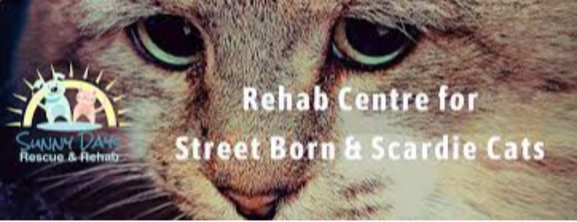 Sunny Days Rescue & Rehab