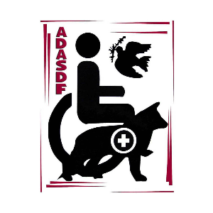 ADASDF (Active Dogs Academy Service Dog Foundation)