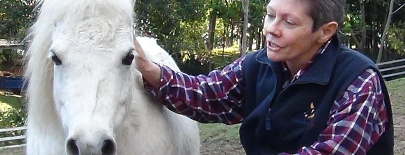 Horse Whispering Youth Program Inc