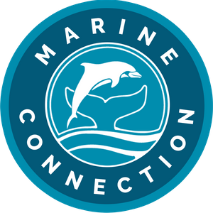 Marine Connection Logo