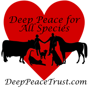 Billie Dean Deep Peace Trust Logo