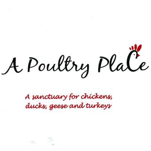 A Poultry Place Logo