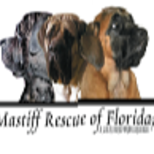 Mastiff Rescue of Florida inc. Logo