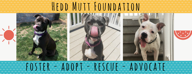 Hedd Mutt Foundation, NFP