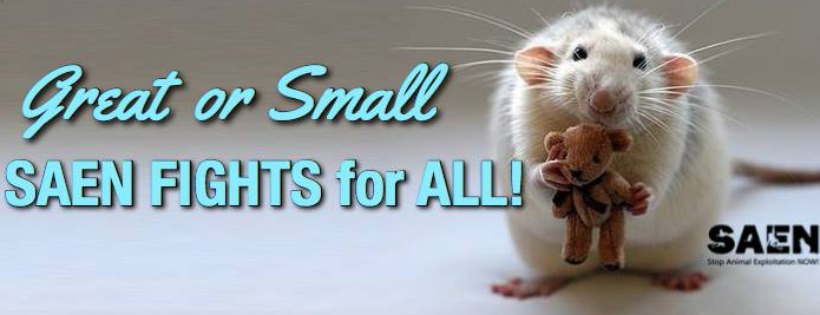 Stop Animal Exploitation NOW!