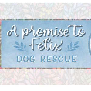 A Promise to Felix Dog rescue Logo