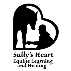 sullys heart inc Logo
