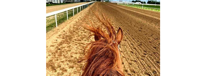 ALBERTA THOROUGHBRED AFTERCARE SOCIETY