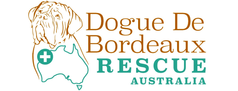 Dogue De Bordeaux Rescue Australia