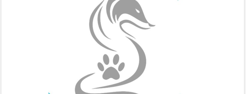 Silver Fox Dog Rescue