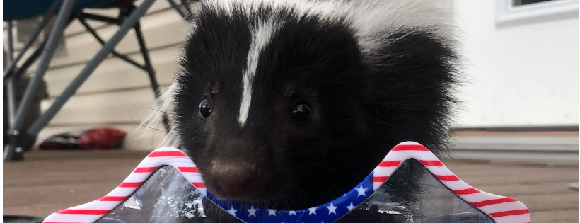 The Broken Bandit Wildlife Center Inc