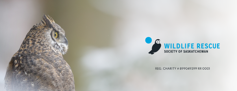 Wildlife Rescue Society of Saskatchewan