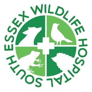 South Essex Wildlife Hospital