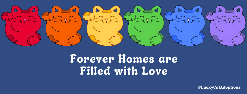 Lucky Cat Adoptions, Inc.