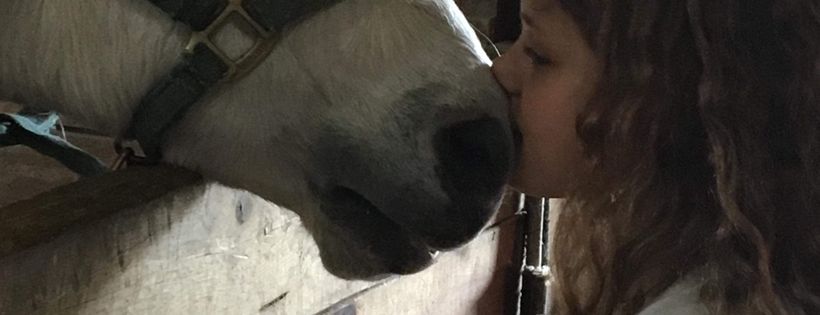 Peacefield Equine Sanctuary