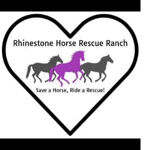 Rhinestone Horse Rescue