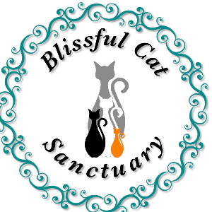 Blissful Cat Sanctuary