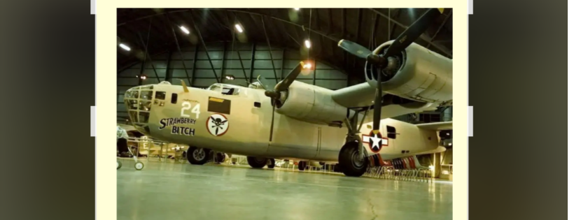 The 307th Bombardment Group (HV)