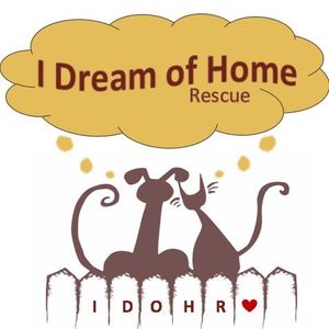 I Dream of Home Rescue Logo