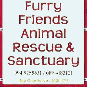 Furry Friends Animal Rescue & Sanctuary