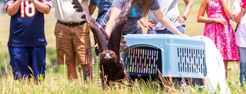 Rocky Mountain Wildlife Alliance