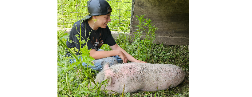 Happy hugs pig therapy and rescue