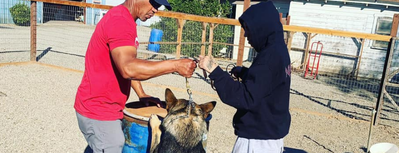 K9 4 Kids
