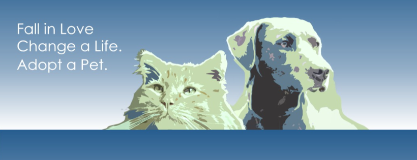 Grey Bruce Animal Shelter